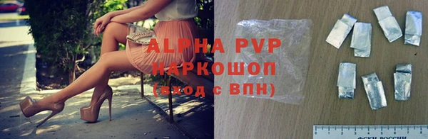 молекула духа Снежинск