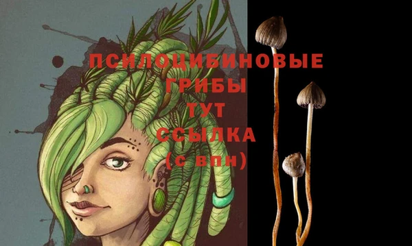 spice Зеленокумск
