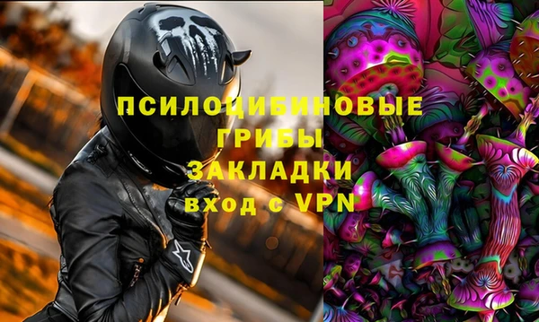 спайс Снежногорск