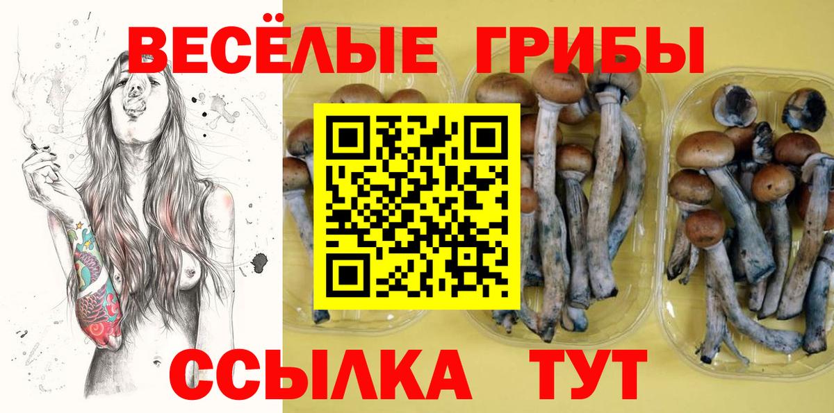 Псилоцибиновые грибы мухоморы Красноперекопск