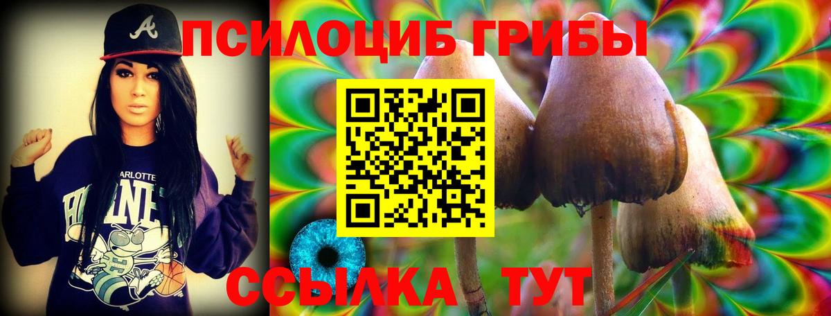 Галлюциногенные грибы GOLDEN TEACHER  Вход с VPN  дарнет шоп  Красноперекопск 